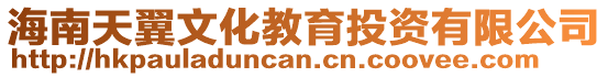 海南天翼文化教育投資有限公司