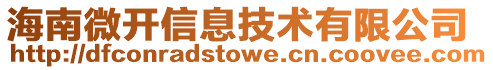 海南微開信息技術有限公司