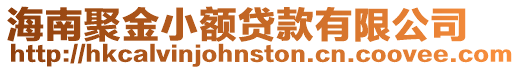 海南聚金小額貸款有限公司