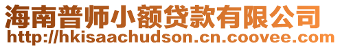 海南普師小額貸款有限公司