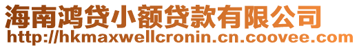海南鴻貸小額貸款有限公司