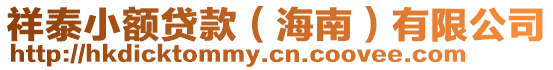 祥泰小額貸款(海南)有限公司