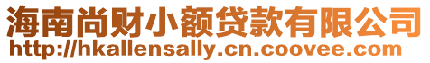 海南尚財小額貸款有限公司