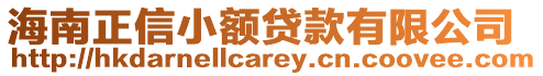 海南正信小額貸款有限公司