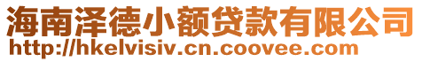 海南澤德小額貸款有限公司