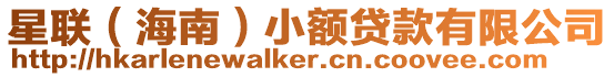 星聯(lián)(海南)小額貸款有限公司