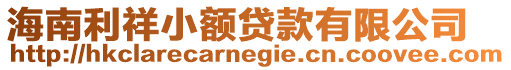 海南利祥小額貸款有限公司