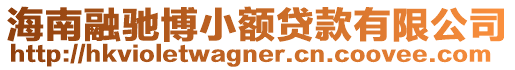 海南融馳博小額貸款有限公司