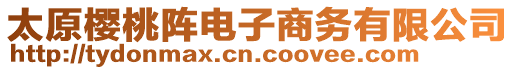 太原櫻桃陣電子商務有限公司