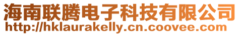 海南聯騰電子科技有限公司