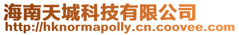 海南天城科技有限公司