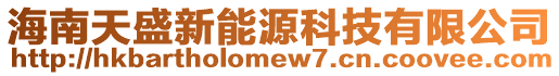 海南天盛新能源科技有限公司