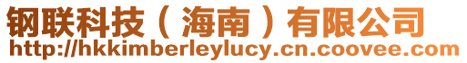 鋼聯(lián)科技（海南）有限公司