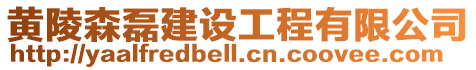 黃陵森磊建設(shè)工程有限公司