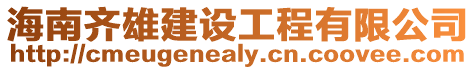 海南齊雄建設工程有限公司