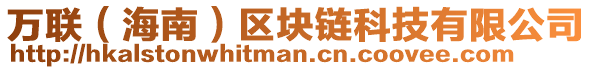 萬聯(lián)（海南）區(qū)塊鏈科技有限公司