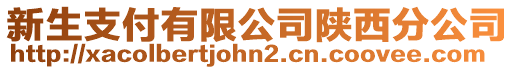 新生支付有限公司陜西分公司