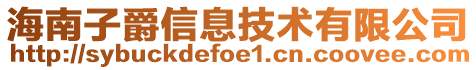 海南子爵信息技術(shù)有限公司