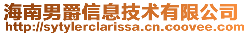 海南男爵信息技術有限公司