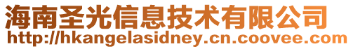 海南圣光信息技術(shù)有限公司
