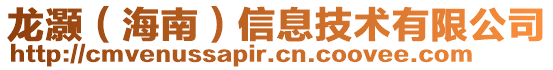 龍灝（海南）信息技術有限公司