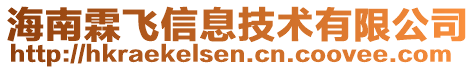 海南霖飛信息技術有限公司