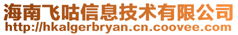 海南飛咕信息技術(shù)有限公司