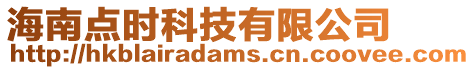 海南點時科技有限公司