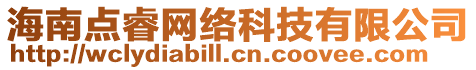 海南點睿網絡科技有限公司