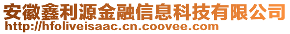 安徽鑫利源金融信息科技有限公司