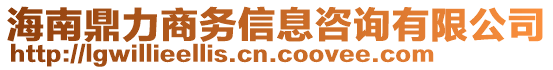 海南鼎力商務信息咨詢有限公司