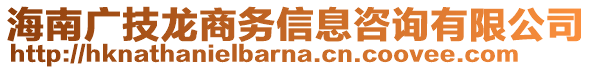 海南廣技龍商務(wù)信息咨詢有限公司