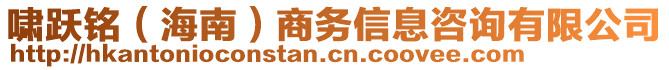 嘯躍銘（海南）商務(wù)信息咨詢有限公司