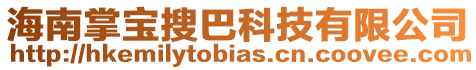 海南掌寶搜巴科技有限公司