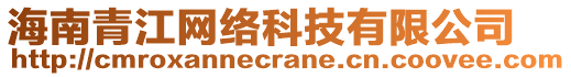 海南青江網(wǎng)絡(luò)科技有限公司