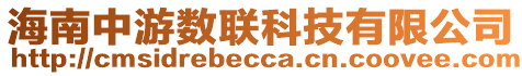 海南中游數聯科技有限公司
