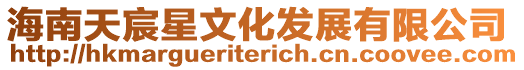 海南天宸星文化發展有限公司