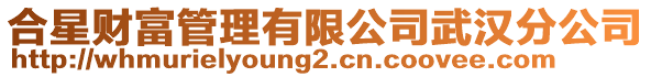 合星財富管理有限公司武漢分公司
