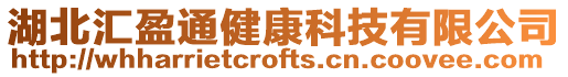 湖北匯盈通健康科技有限公司
