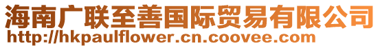 海南廣聯(lián)至善國(guó)際貿(mào)易有限公司