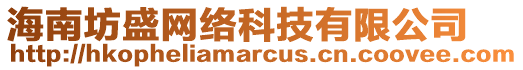 海南坊盛網(wǎng)絡(luò)科技有限公司