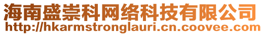 海南盛崇科網絡科技有限公司