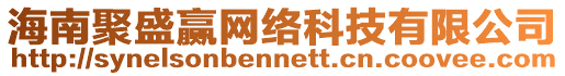 海南聚盛贏網絡科技有限公司