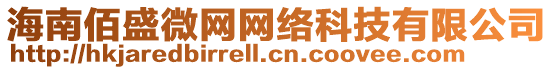 海南佰盛微網網絡科技有限公司