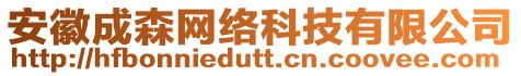 安徽成森網(wǎng)絡(luò)科技有限公司