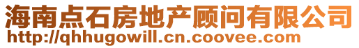 海南點石房地產顧問有限公司