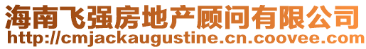 海南飛強房地產(chǎn)顧問有限公司