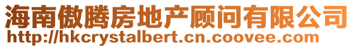 海南傲騰房地產(chǎn)顧問有限公司