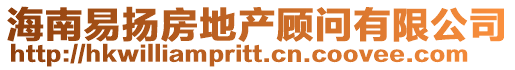 海南易揚房地產顧問有限公司