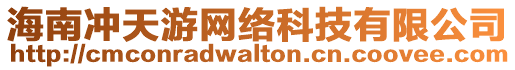 海南沖天游網(wǎng)絡(luò)科技有限公司